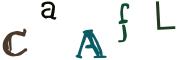 Beeld-CAPTCHA