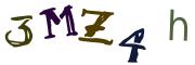 Beeld-CAPTCHA