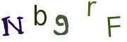 Beeld-CAPTCHA